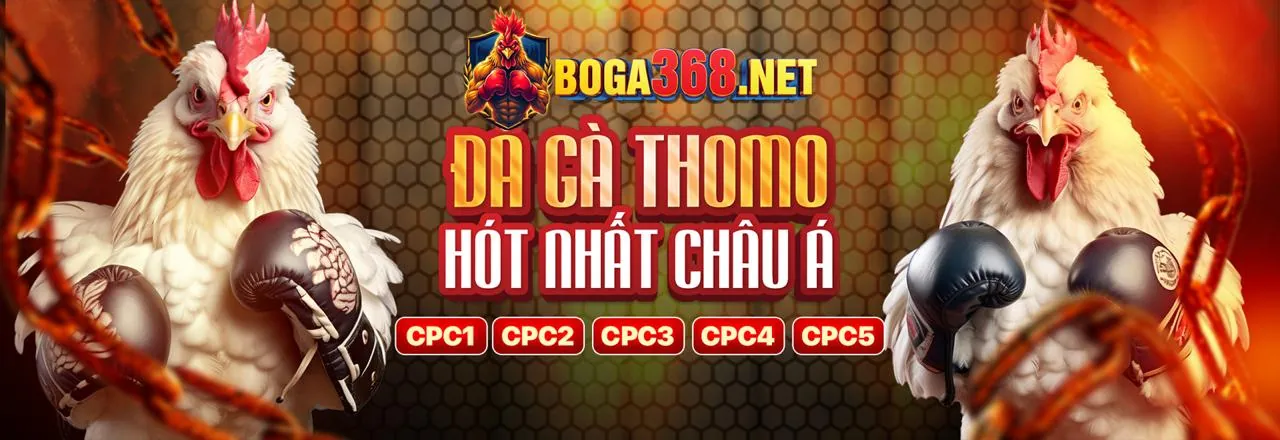 Giao diện người dùng xo88 được tối ưu hóa